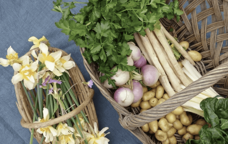 Colorful fresh vegetables on a rustic French table for a bon appétit-inspired meal