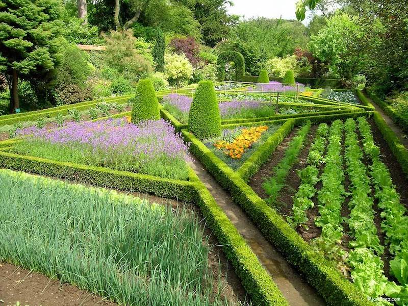 iconic features of famous french gardens