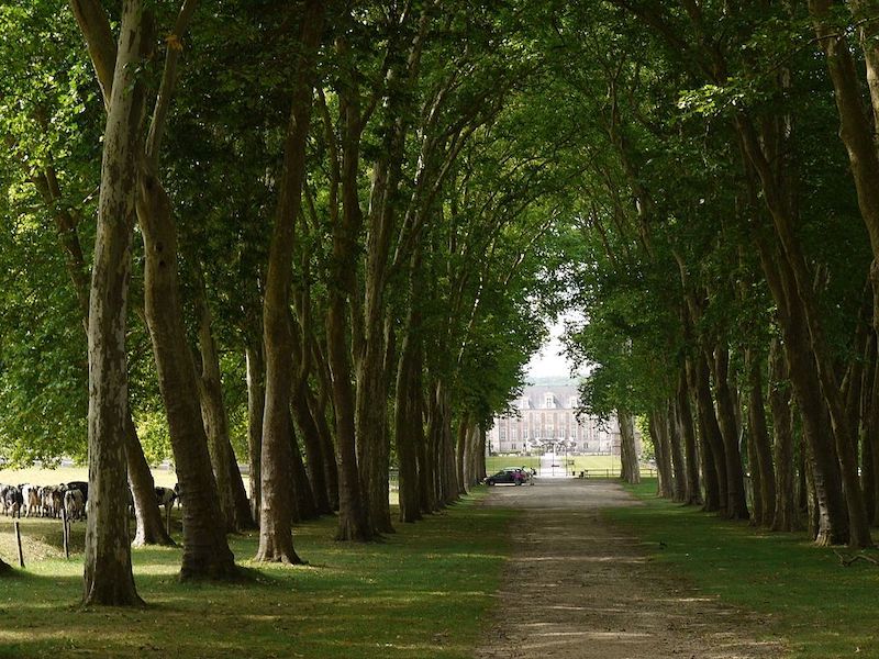 iconic features of famous french gardens