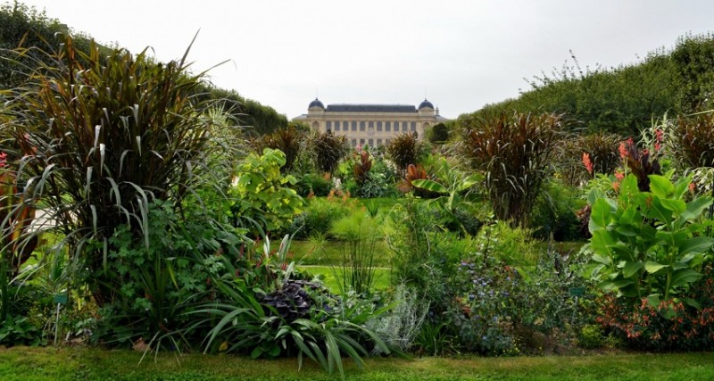 jardin des plantes