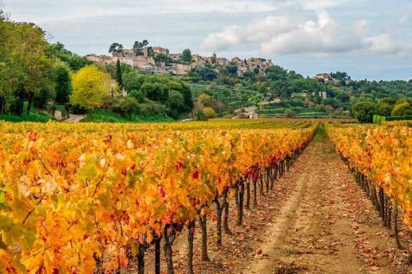 exploring provence: holiday activities from october to december