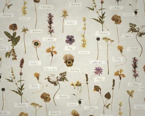 Behind the Brand: Carrière Frères