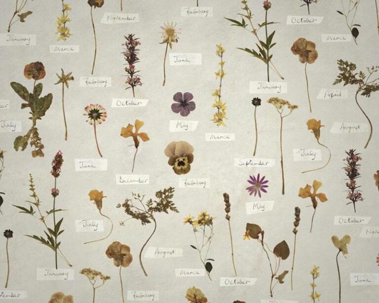 Behind the Brand: Carrière Frères