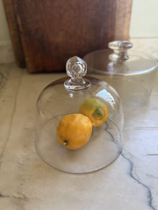 French Antique Glass Dome