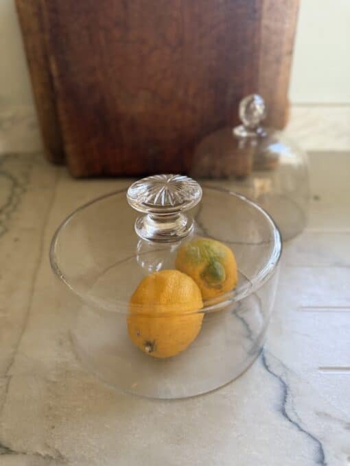 French Antique Glass Dome