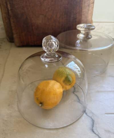 French Antique Glass Dome