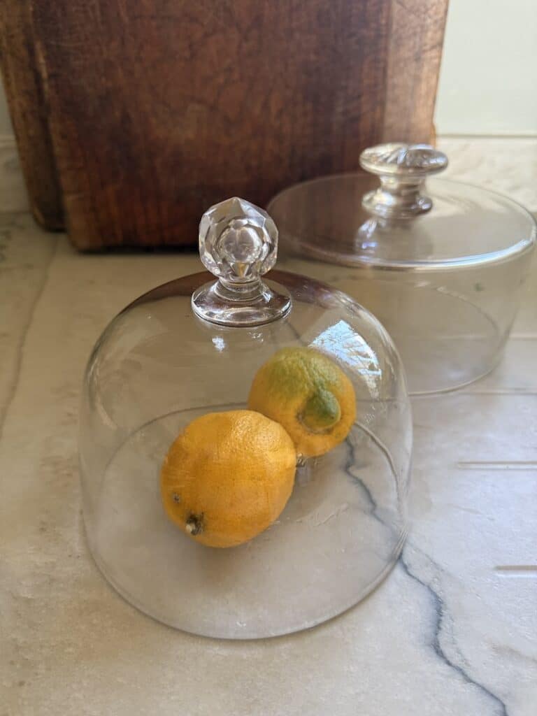 French Antique Glass Dome