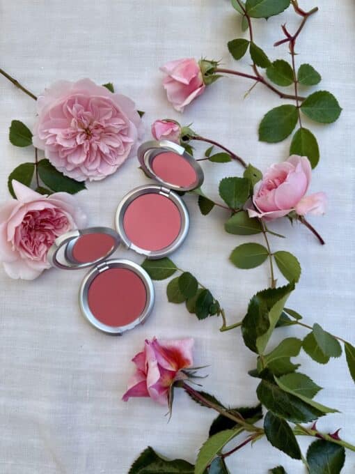 french-subscription-box-marie-antoinette-blush