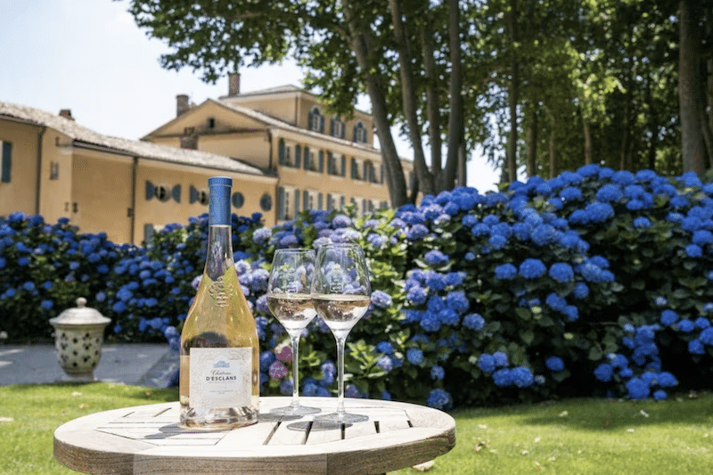 Summer Sips of Provence