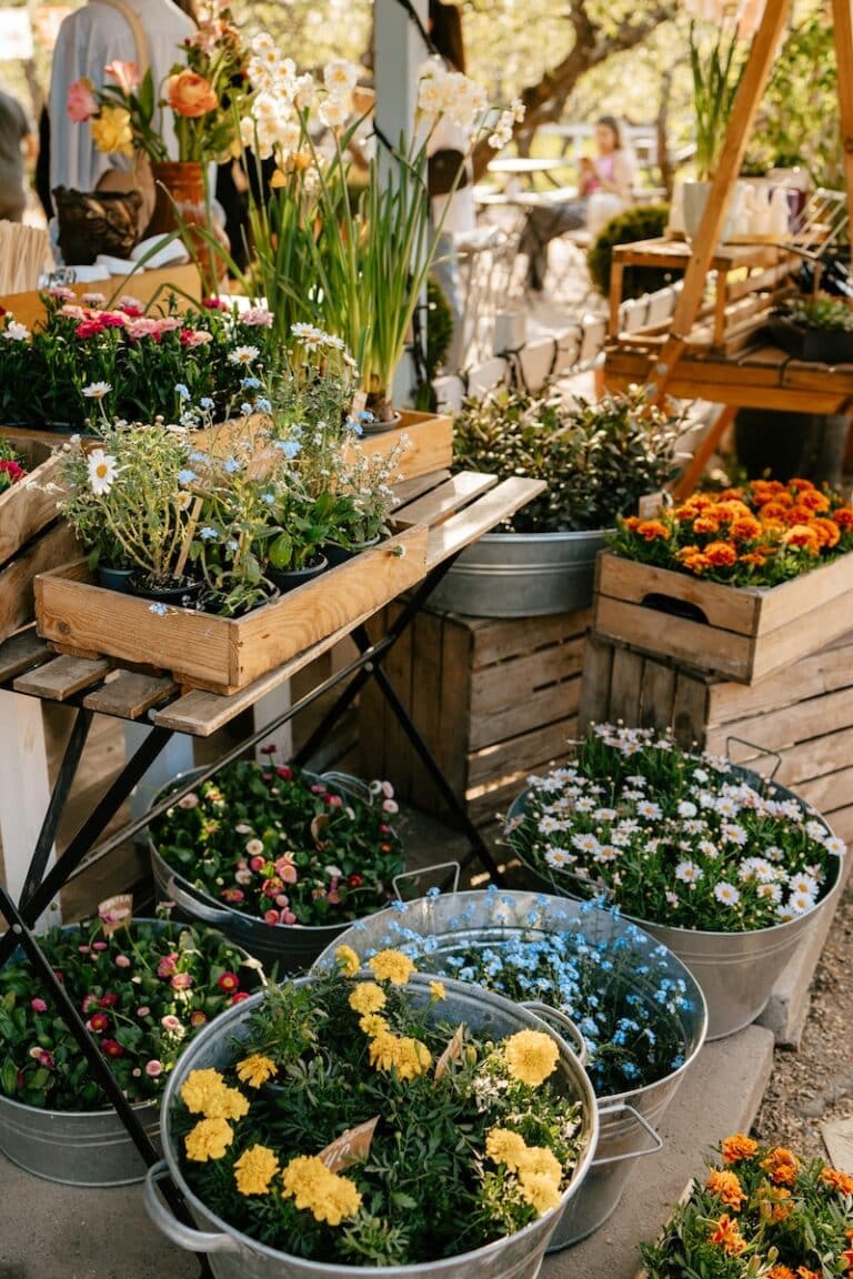 summer market in provence