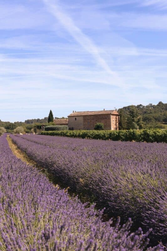 The Timeless Charm of Provence