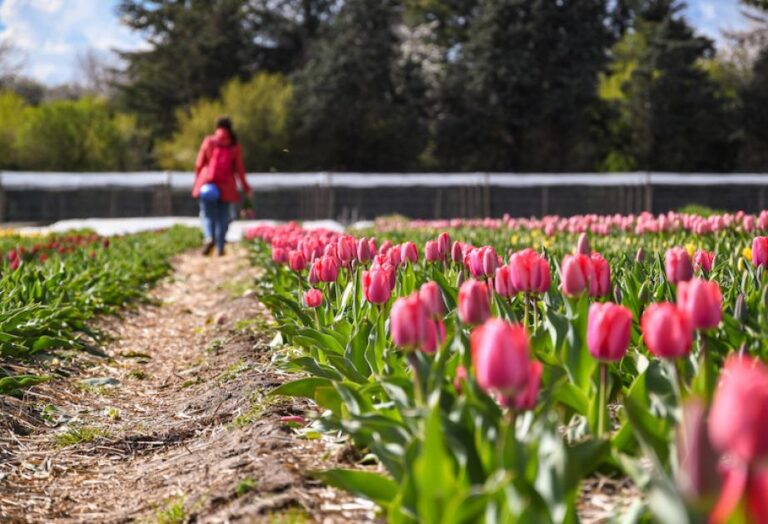 BEST FLOWER FARMS NEAR PARIS