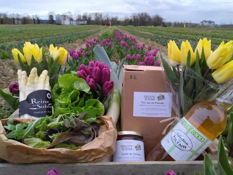 BEST-FLOWER-FARMS-NEAR-PARIS-La-Ferme-de-Viltain