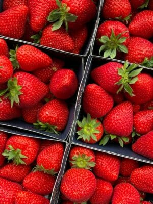 Strawberry Season in France