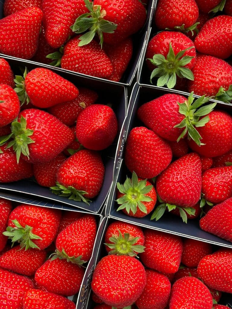 Strawberry Season in France