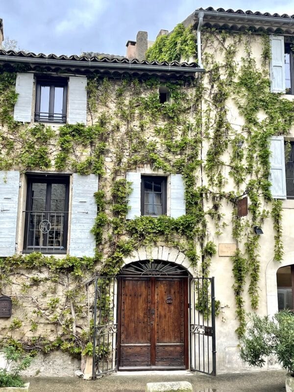 PROVENCE IN THE SUMMER