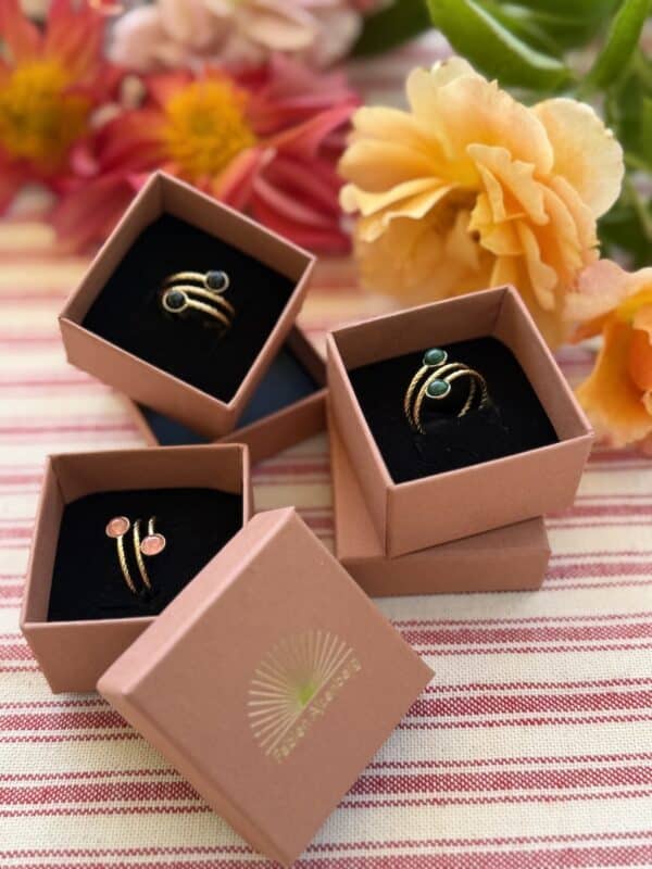 rings in French subscription box - bon voyage