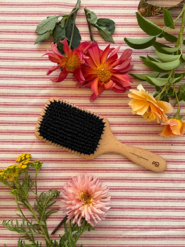 hairbrush in French subscription box - bon voyage
