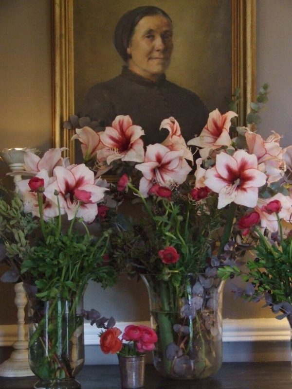 Fresh Flowers for Fall and Winter Amaryllis