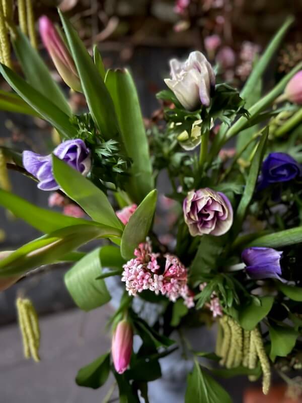 Fresh Flowers for Fall and Winter Tulips