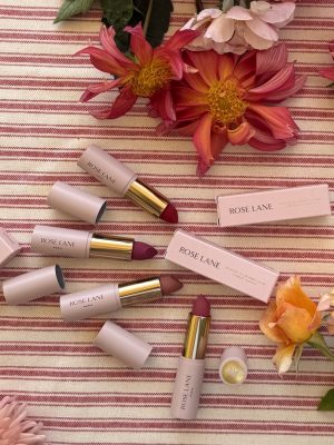 lipstick in French subscription box - bon voyage