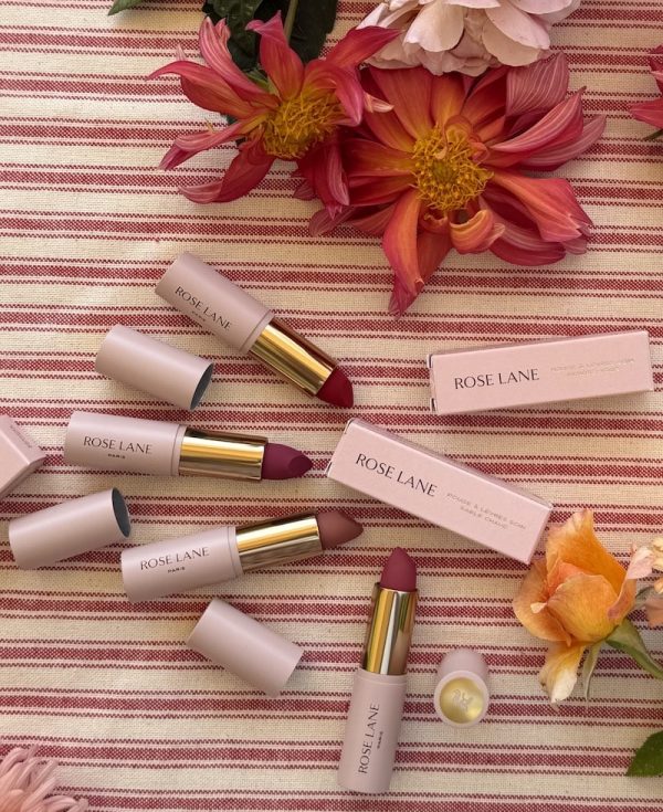 lipstick in French subscription box - bon voyage