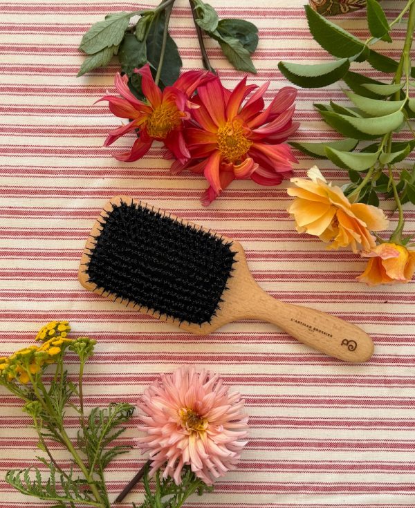hairbrush in French subscription box - bon voyage