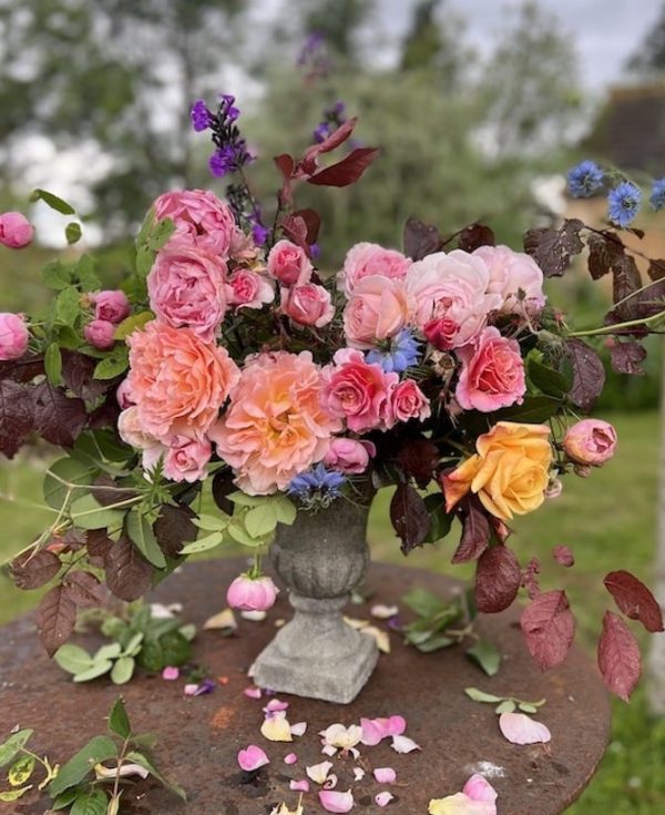 mfch roses galore Antique Medici Vases