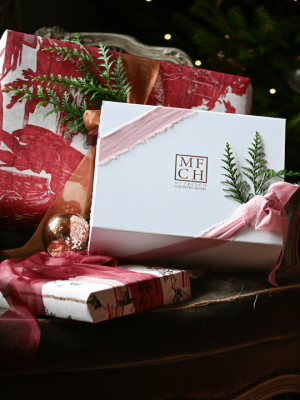 stylized box christmas 800px.png